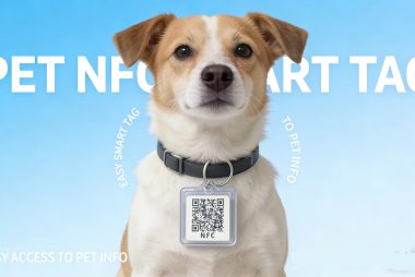 One-Code-One-Pet Smart Tag